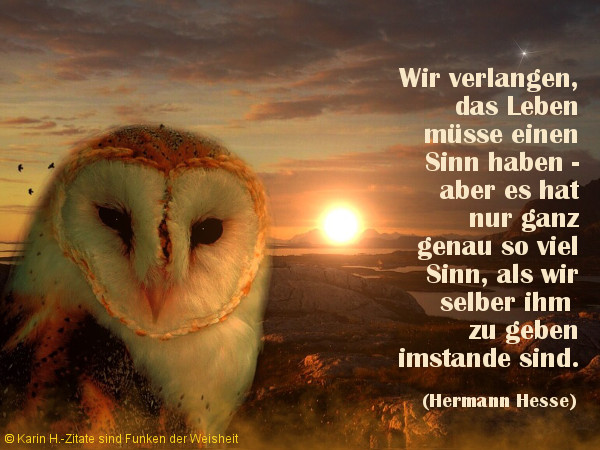 Hermann Hesse Zitate Sind Funken Der Weisheit